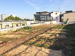 Appartement  - Séjour