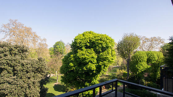 Apartamento Paris 8° - 