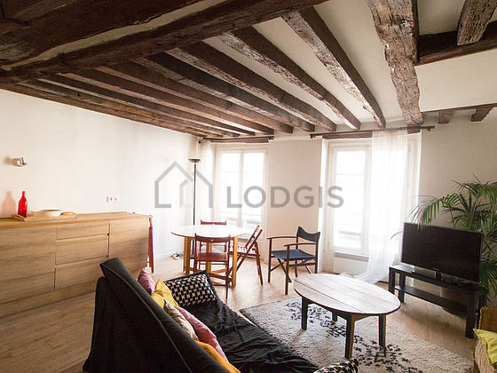 Magnifique séjour très calme et très lumineux d'un appartement à Paris