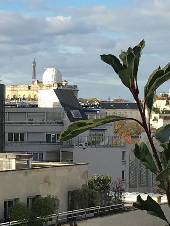 Appartement Paris 13° - 