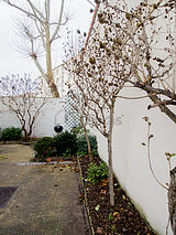 Maison individuelle Colombes - Jardin