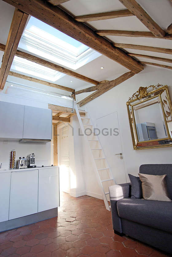 Apartment Paris 4° - 