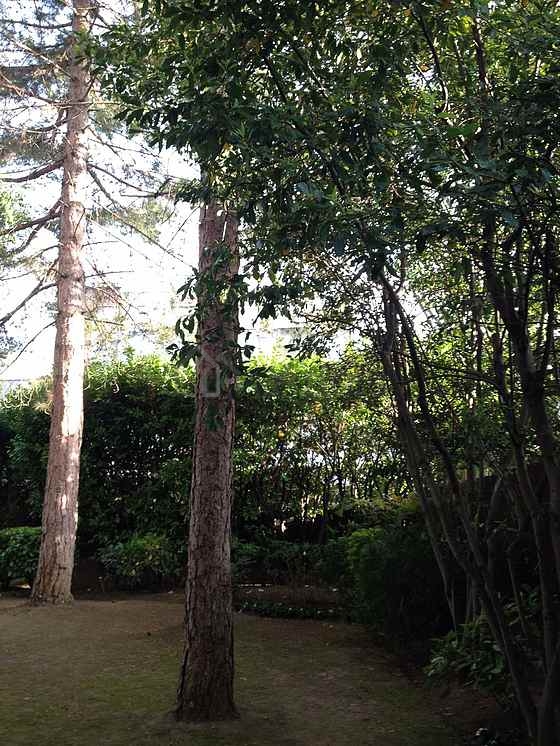 Wohnung Neuilly-Sur-Seine - 