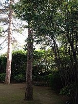 Apartamento Neuilly-Sur-Seine - Jardim