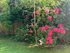 Wohnung Neuilly-Sur-Seine - Garten