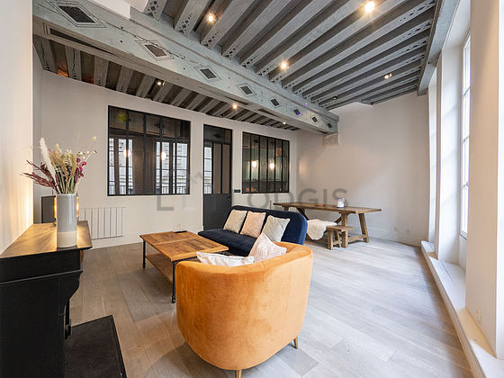 Great, quiet and very bright sitting room of an apartment in Paris