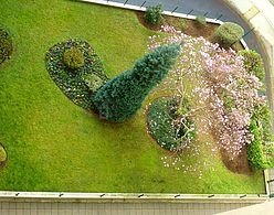 Apartment Paris 11° - Kitchen