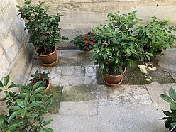 Apartment Paris 14° - Bedroom 