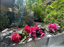 Apartment Paris 14° - Yard