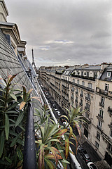 Appartement Paris 16° - Séjour