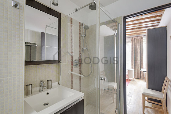 Pleasant bathroom with double-glazed windows and with tile floor