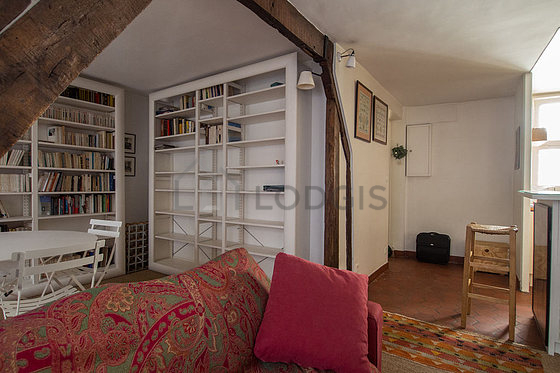 Magnifique séjour très calme et lumineux d'un appartement à Paris