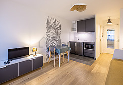 Apartamento Paris 19° - Salaõ