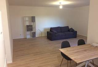 Villeurbane 1 Schlafzimmer Wohnung