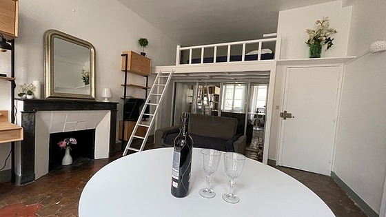 Great, very quiet and very bright sitting room of an apartment in Paris
