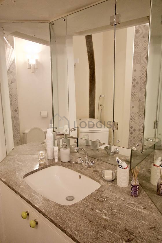 Pleasant and very bright bathroom with tile floor