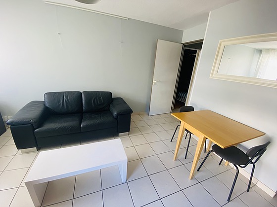 Appartement Toulouse Centre - 