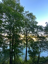 Apartment Issy-Les-Moulineaux - Terrace