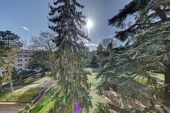 Appartement Suresnes - Terrasse