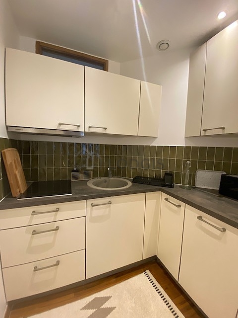 Kitchen equipped with dishwasher, hob, refrigerator, extractor hood