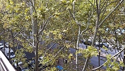 Appartement Montpellier Centre