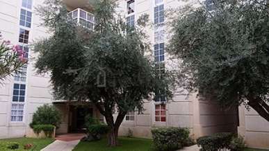 Montpellier 1 bedroom Apartment