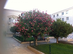 Apartamento Centre ville