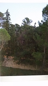 Wohnung Hôpitaux-Facultés