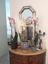 Apartamento Suresnes - Entrada