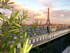 Appartement Paris 16° - Terrasse