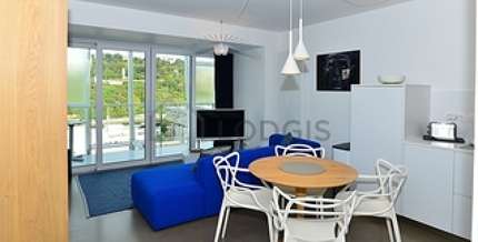 Appartement meublé 1 chambre Lyon