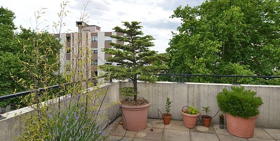 Wohnung Lyon 6° - 