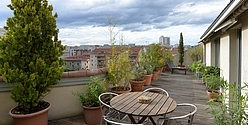 Apartment Lyon 6° - Terrace