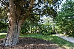 Casa Toulouse Ouest - Jardim