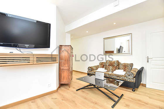 Living room furnished with 1 sofabed(s) of 160cm, tv