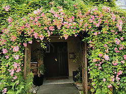 House Yvelines - Entrance
