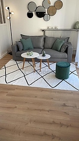 Appartement Paris 16° - Séjour