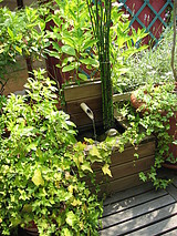 House Haut de seine Nord - Terrace