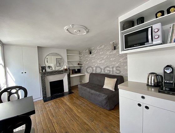 Great, very quiet and very bright sitting room of an apartment in Paris