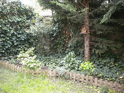 House Colombes - Yard