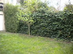 Maison individuelle Colombes - Jardin