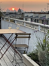 Penthouse Paris 13° - Terrasse