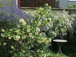 Квартира  - Гостиная