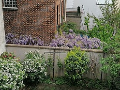 Apartamento  - Salaõ