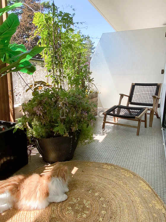 Demeure contemporaine Rueil-Malmaison - 