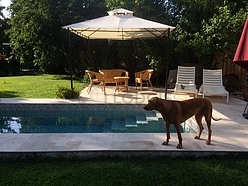 Duplex Val de marne - Jardin