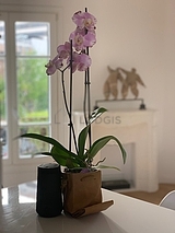 Apartamento Puteaux - Salón