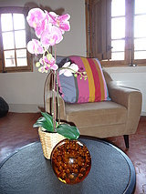 Wohnung Centre ville - Wohnzimmer