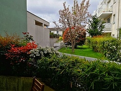 Apartment  - Terrace