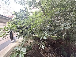 Wohnung Paris 13° - Schlafzimmer